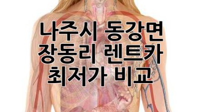 나주시 동강면 장동리 렌트카 최저가 비교!