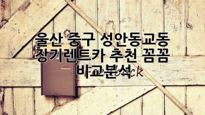 울산 중구 성안동/교동 장기렌트카 추천: 꼼꼼 비교분석