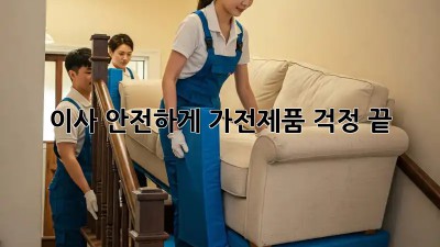 이사 안전하게, 가전제품 걱정 끝!
