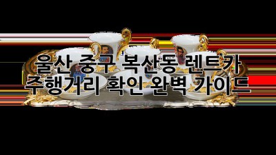울산 중구 복산동 렌트카 주행거리 확인 완벽 가이드